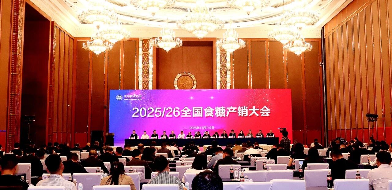 20251104.jpg